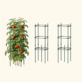MaxGrow Tomato Tower 3 Tier - 3 Pack