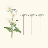 Single Stem Plant Support Spiral - 3 Pack