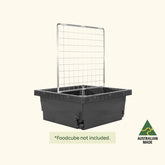 Foodcube™ Wall Trellis