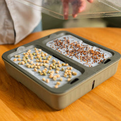 2-Pack EZ Microgreens Planter