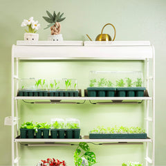 Jumbo/Giga 1020 Up Pot Bundle