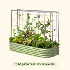 Metal Frame String Trellis