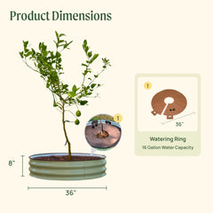 Tree Surround & Watering Ring Kit