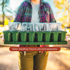 Bottom Watering Tray