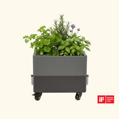 EZCube Self-Watering Rolling Planter 21” x 24”