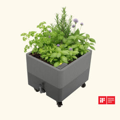 EZCube Self-Watering Rolling Planter 21” x 24”