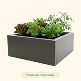 Foodcube™ Side Panels