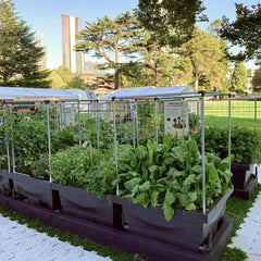 Foodcube™ Wall Trellis