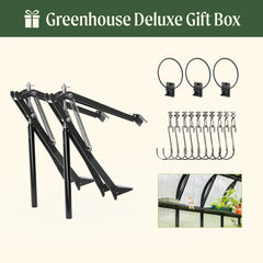 Vego Pacific Greenhouse - 10.5ft Wide