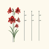 Single Stem Plant Support Loop - 3 Pack