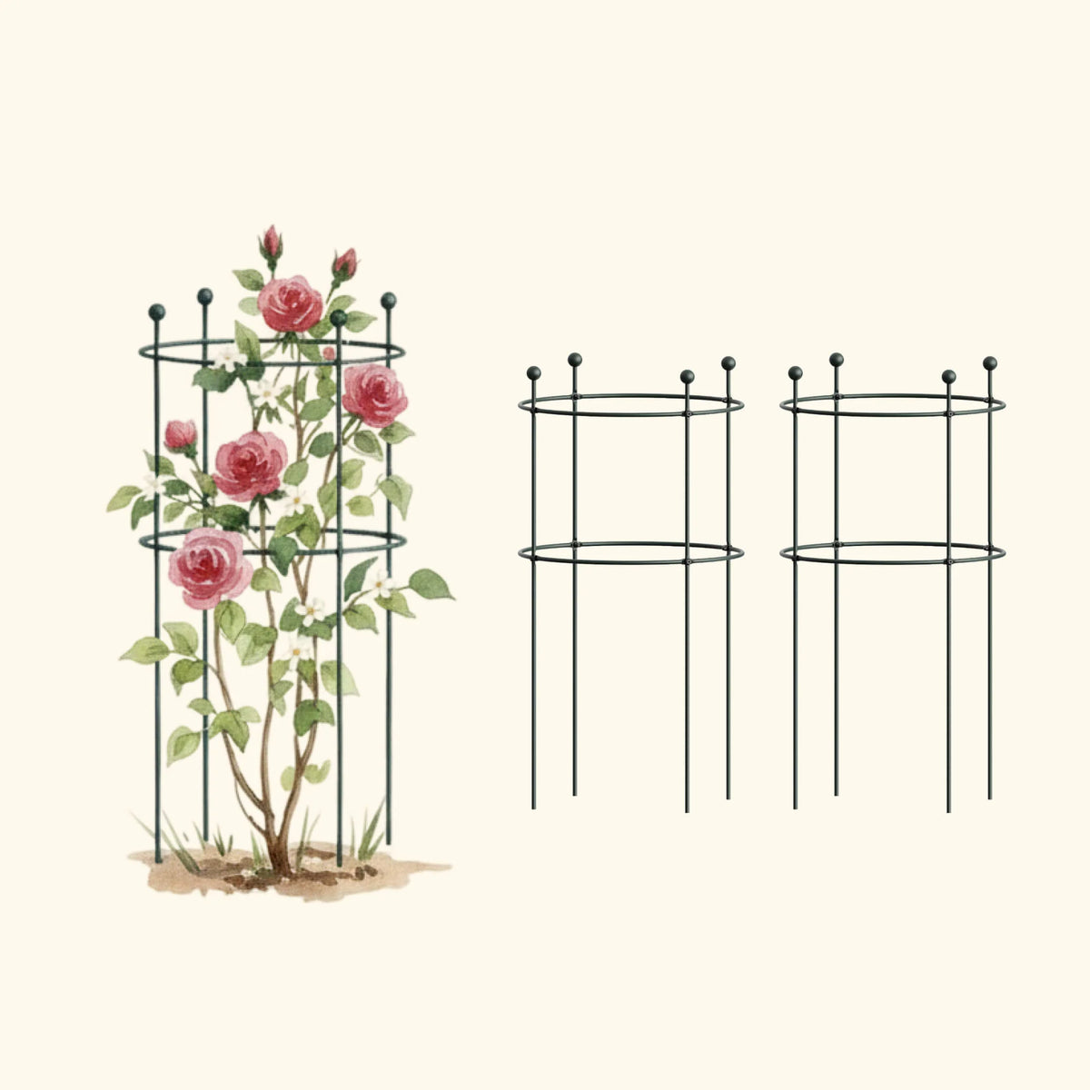 Flower Cage Round - 2 Pack