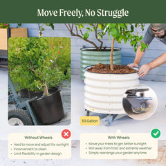 Classic Rolling Citrus Tree Planter - 30 Gallon
