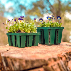 Seed Starting Bundle - 10" x 10"