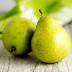 D'Anjou Pear Tree