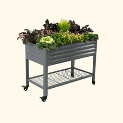 Elevated Garden Bed - 2' x 4' Wheels Included
