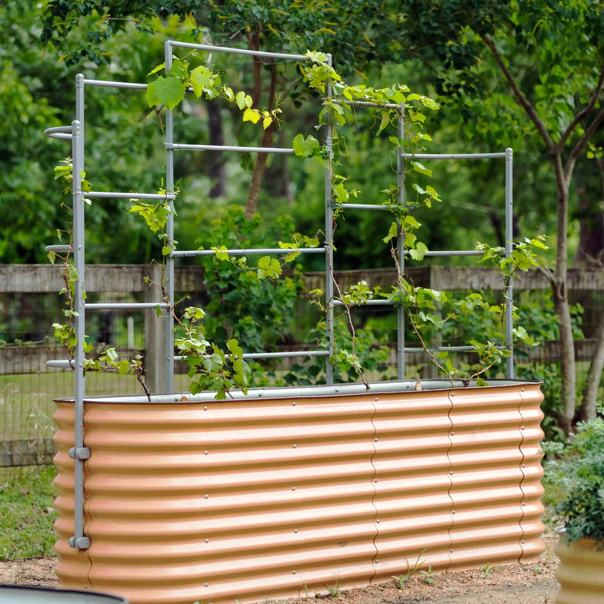 Wall Trellis System