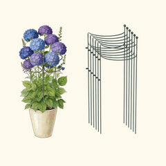 Border Plant Support Curved - 6 Pack