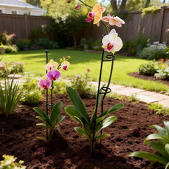 Single Stem Plant Support Loop - 3 Pack