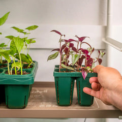 Seedling Heat Mat