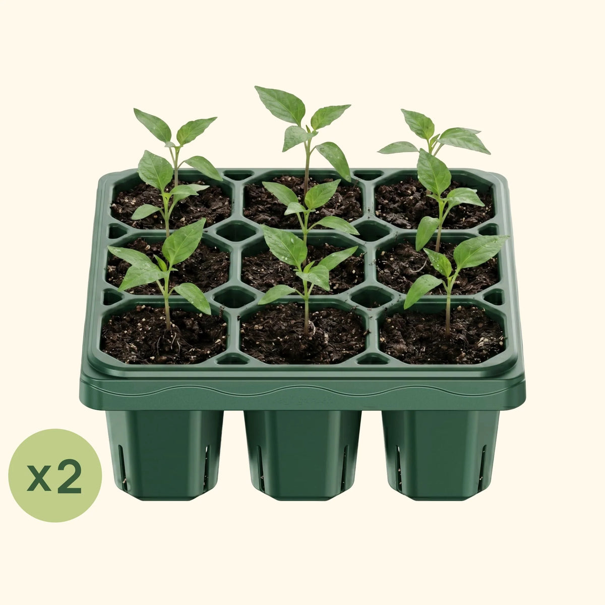 Giga Seedling Tray - 10" x 10"