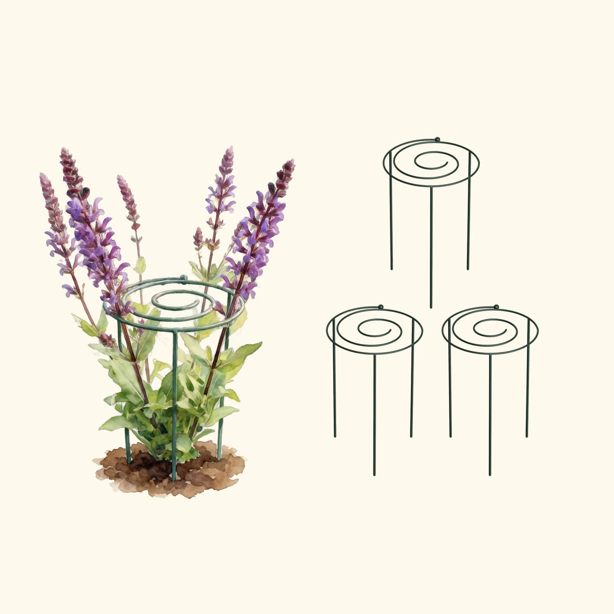 Grow Through Support - Spiral - 3 Pack