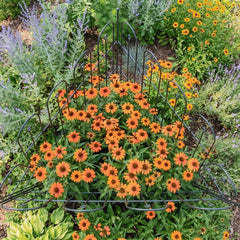 Garden Border Edging Fence - 3 Pack