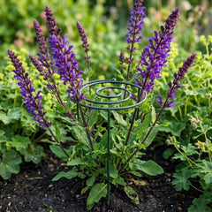 Grow Through Support - Spiral - 3 Pack