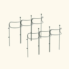 Border Plant Support Curved - 6 Pack