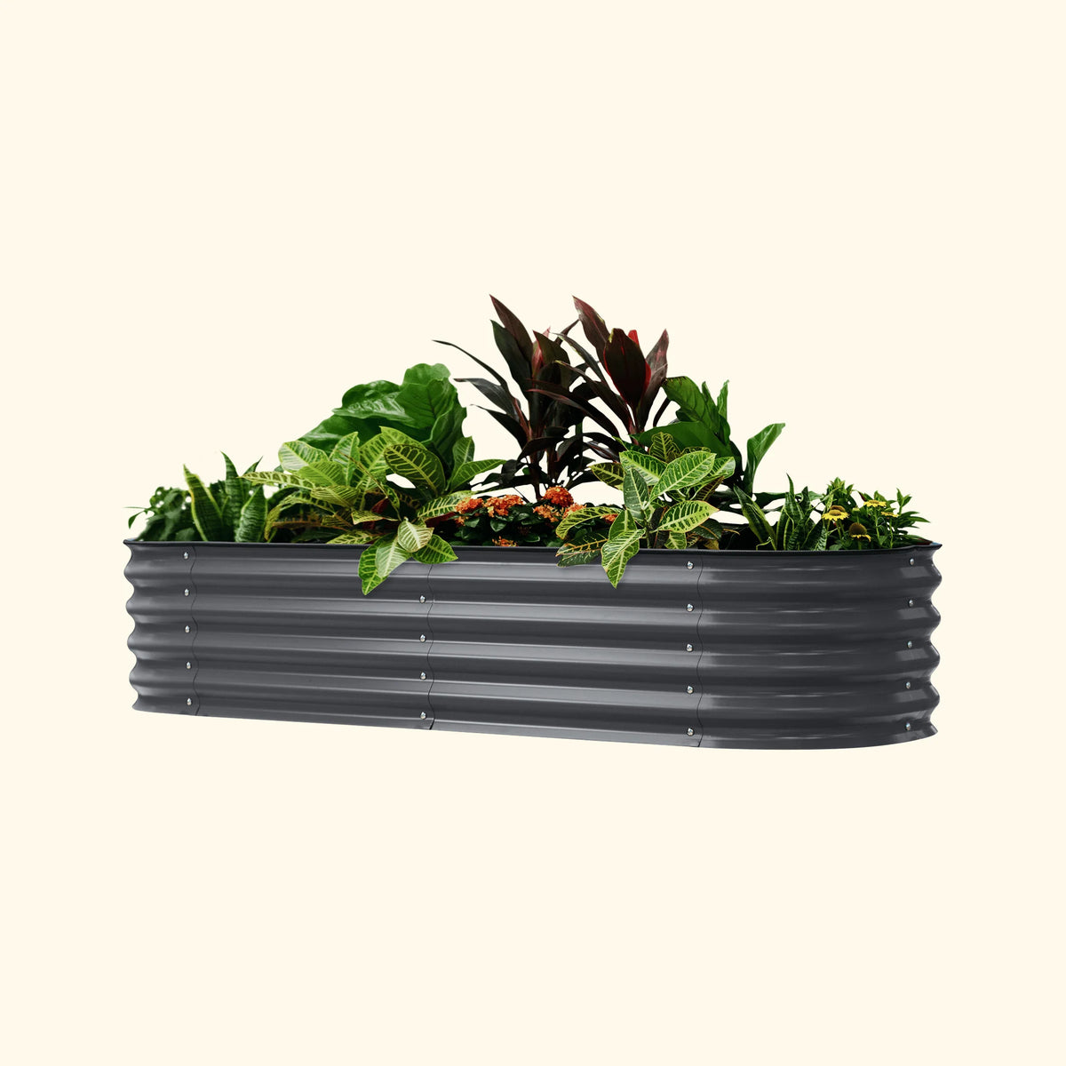 Self-Watering Garden Bed - 2' x 6'