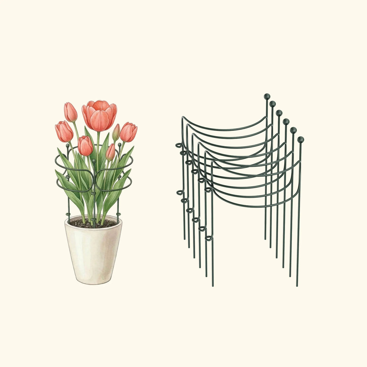 Border Plant Support Curved - 6 Pack