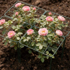 Grow Through Support - Grid - 4 Pack