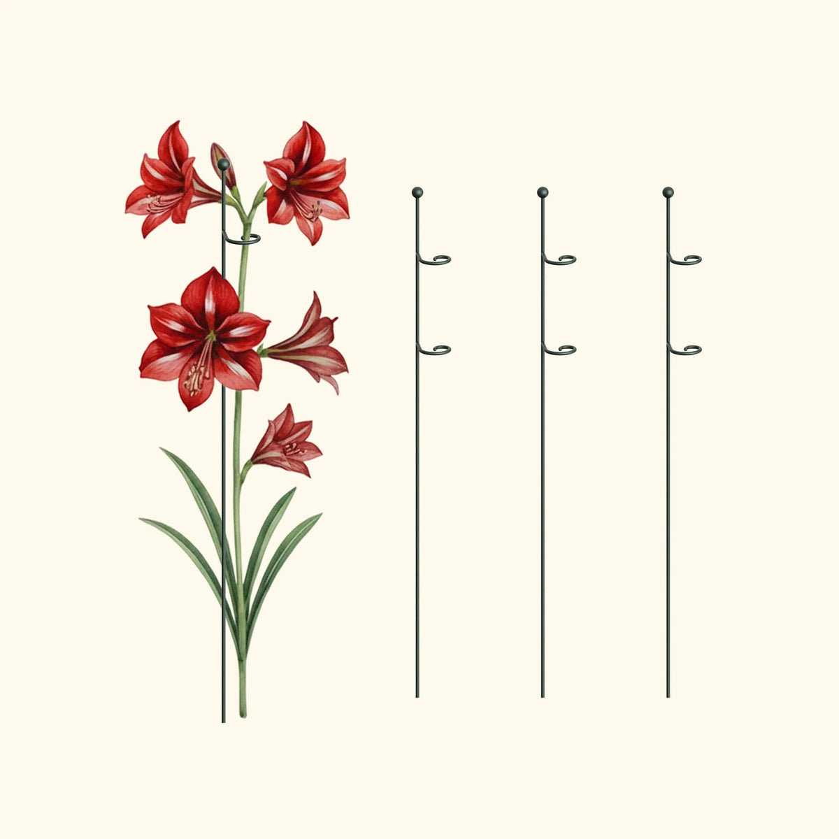 Single Stem Plant Support Loop - 3 Pack